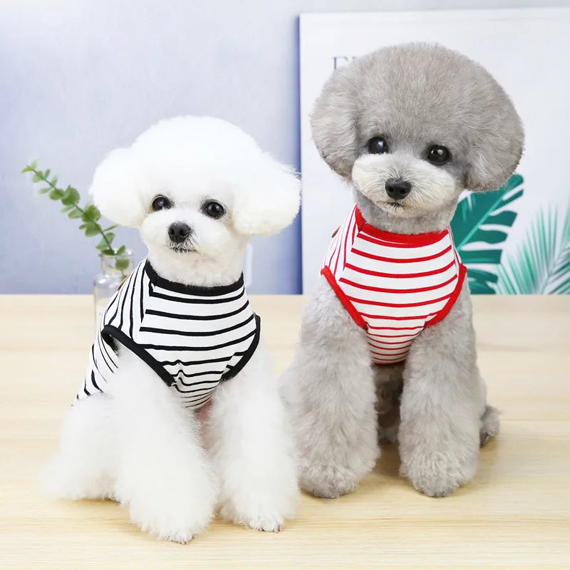 A fluffy white dog sits next to a gray dog, both wearing striped sleeveless vests.