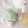 Robe de couronne florale jaune pour un petit chat blanc et duveteux
