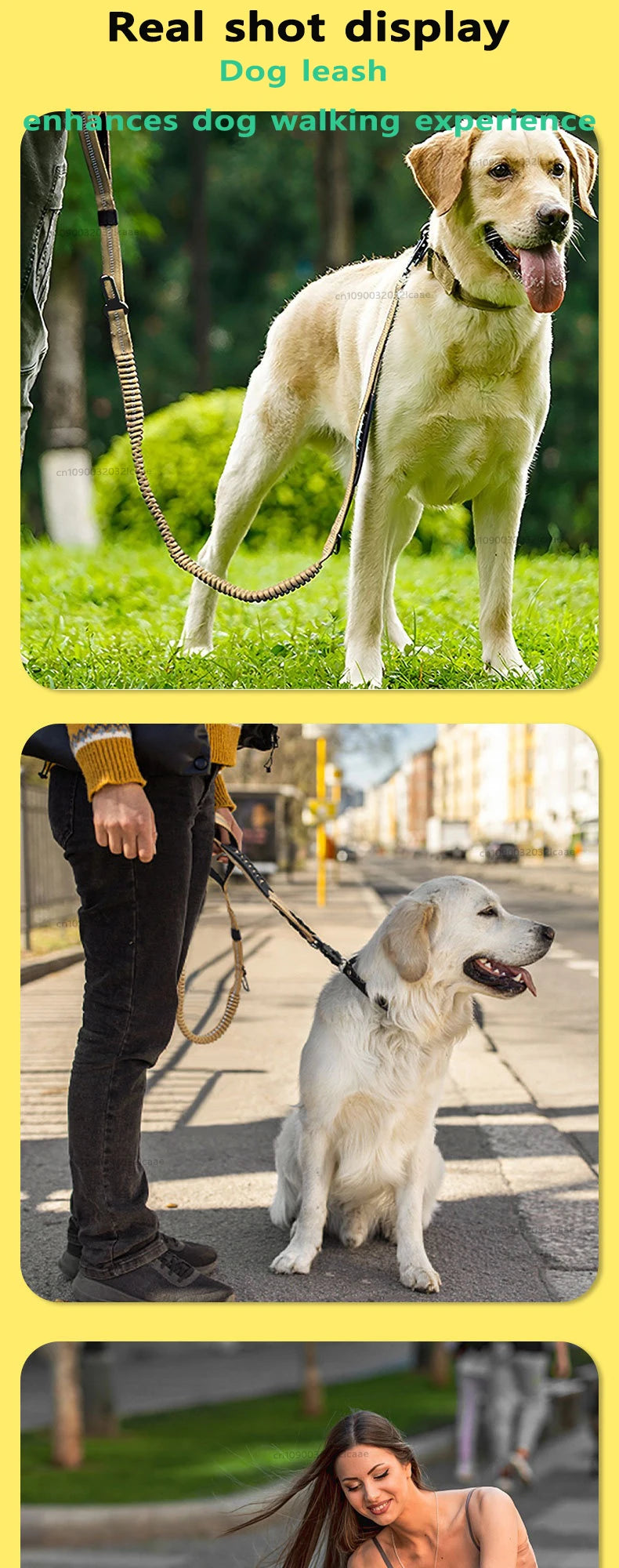 A golden retriever is walking on a leash, demonstrating the real shot display feature of the dog leash.