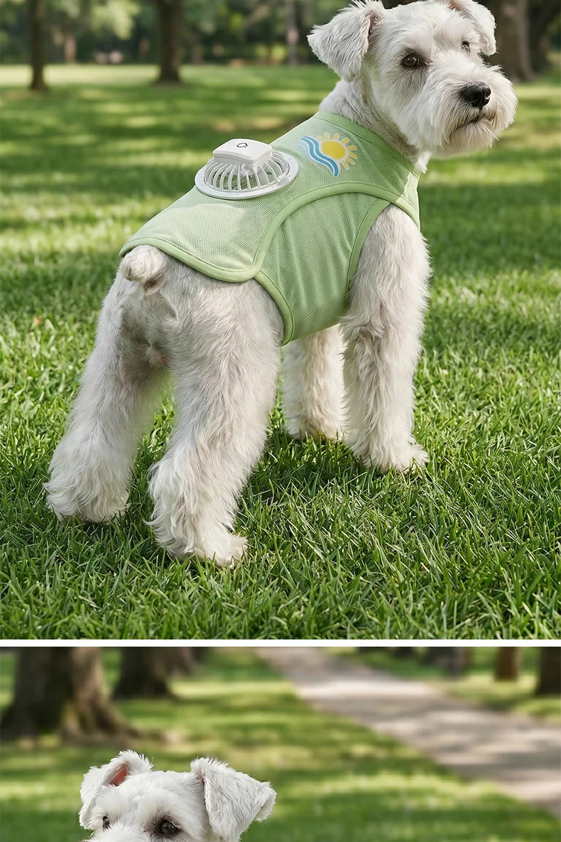 A white dog wearing a light green cooling vest with a built-in fan outdoors on a grassy field.