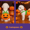 Un perro blanco vistiendo un disfraz de calabaza naranja con detalles verdes, sentado en un suelo de madera.