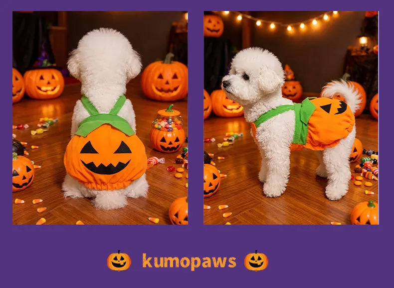 Un perro blanco vistiendo un disfraz de calabaza naranja con detalles verdes, sentado en un suelo de madera.