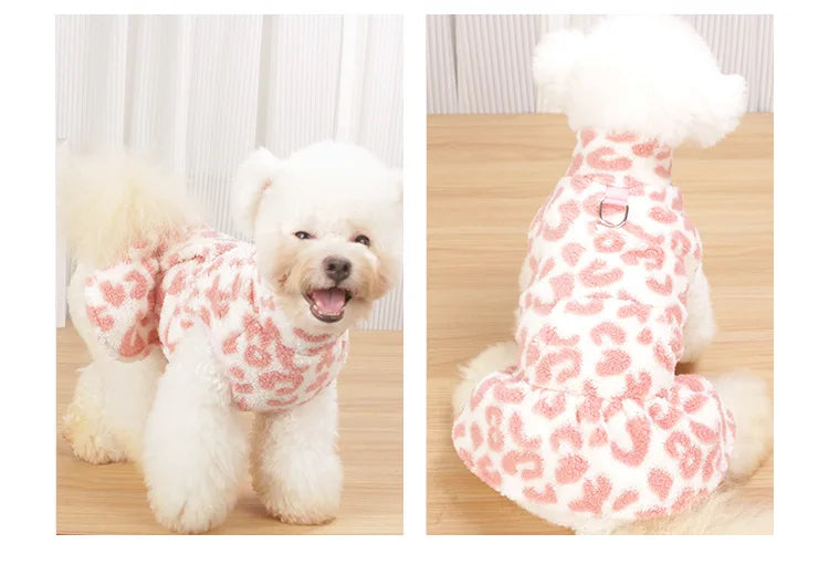 A fluffy white dog wearing a leopard print princess dress.