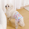A fluffy white dog wearing colorful reusable female diapers on a wooden floor.