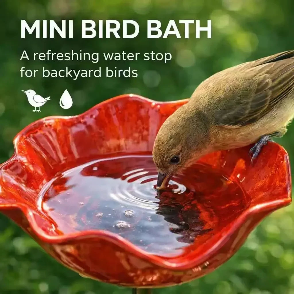 A small bird is drinking water from a red mini bird bath for backyard birds.