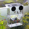 Un bac d'isolement de reproduction transparent contenant de petits poissons comme des guppys, avec un dessus doté d'ouverture