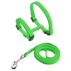 A bright green adjustable nylon pet harness and leash set.