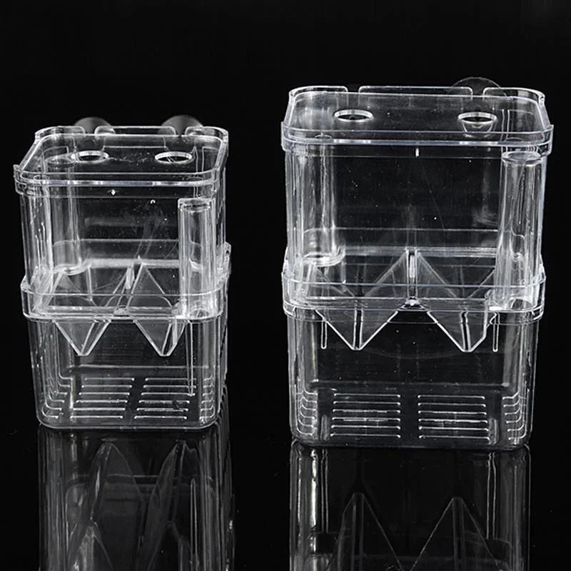 Bocal d'isolement en plastique transparent pour frayères de guppies, vue de côté.