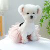 A fluffy white puppy wearing a pink lace dress with black accents, sitting on a white surface.