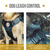 A close-up of a black dog leash control harness being used for dog leash control during daily walks.