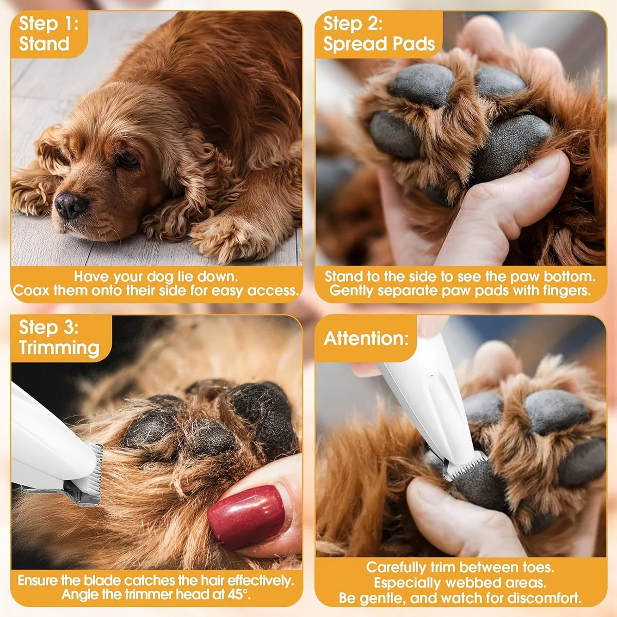 Step-by-step guide showing how to use a rechargeable USB pet paw trimmer for cats and dogs on a dog's paw.