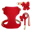 Rotes gestricktes Hundehalsband und Leine-Set mit Schleife