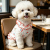 A fluffy white dog wearing a cherry ruffle pet dress sitting on a wooden chair.