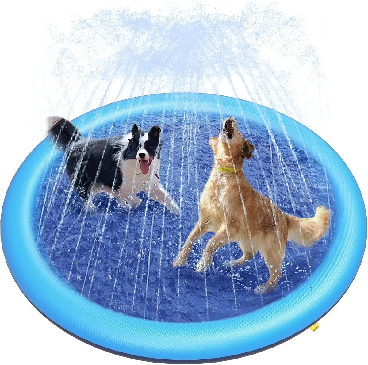 A dog is splashing in a blue water feature, creating a spray of water against a blue background.
