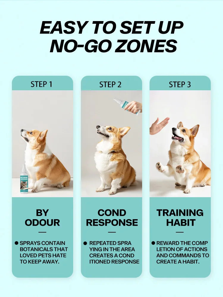 Three-step process for setting up no-go zones using odour, cond response, and training habit with a cat