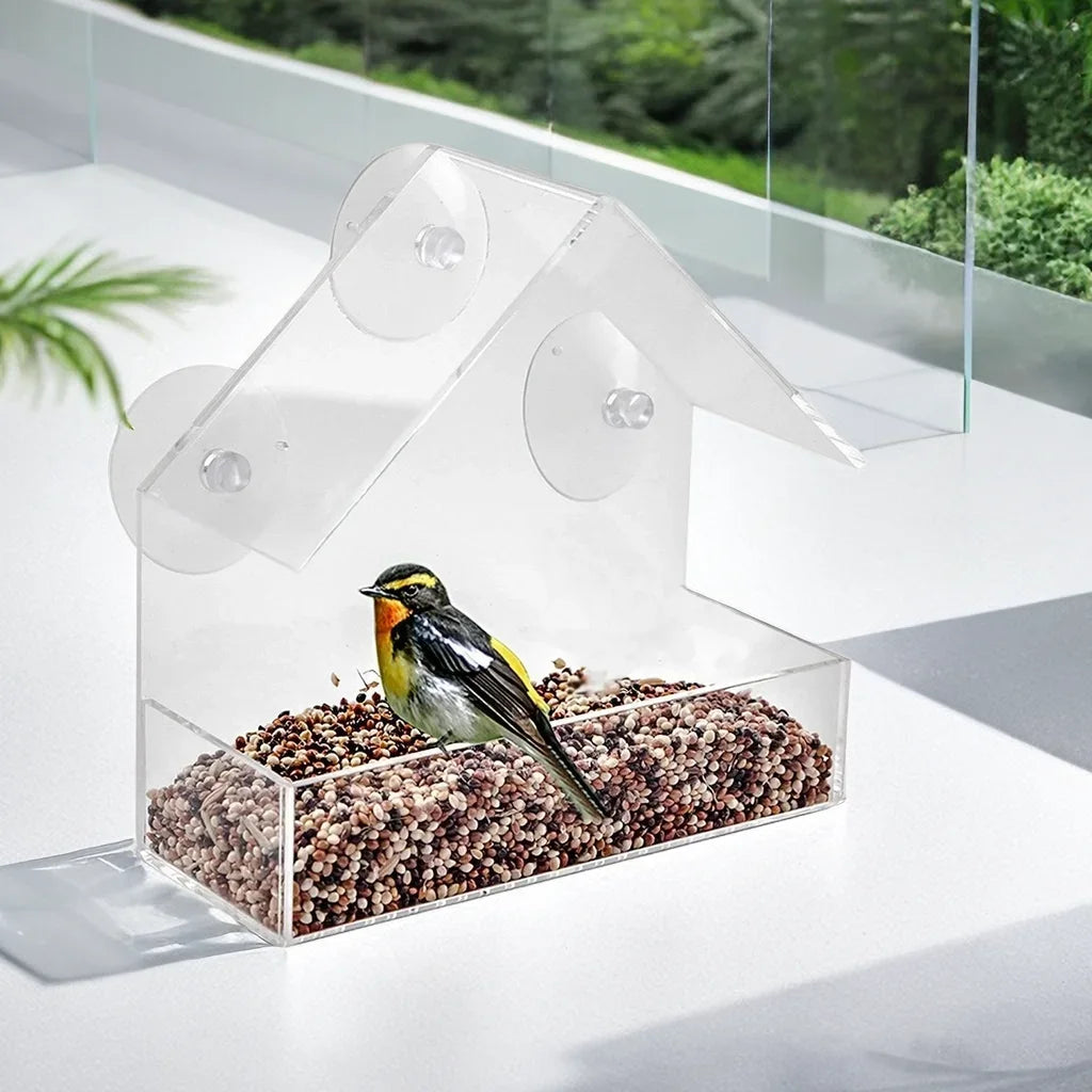 Nourrice pour oiseaux transparente en forme de maison avec ventouses, remplie de petites graines sur une surface blanche.