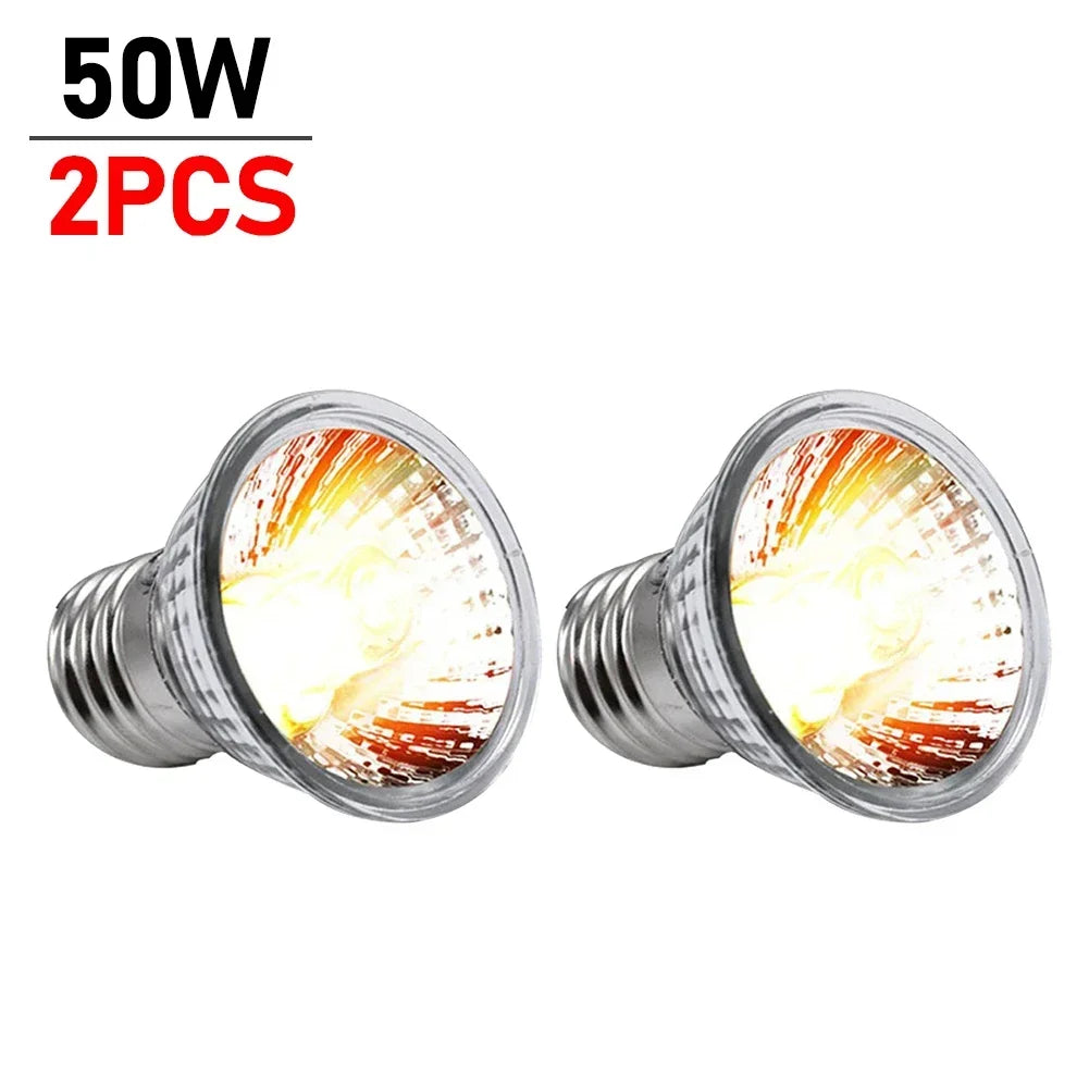 Zwei 50W UVB-Reptilhitzlampen mit silbernen Sockeln und leuchtenden Glühbirnen.