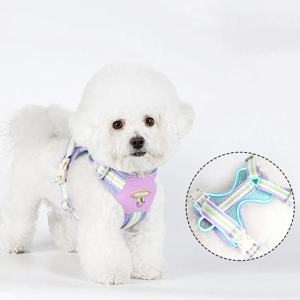 A fluffy white dog wearing a purple adjustable no-pull dog harness with reflective straps.