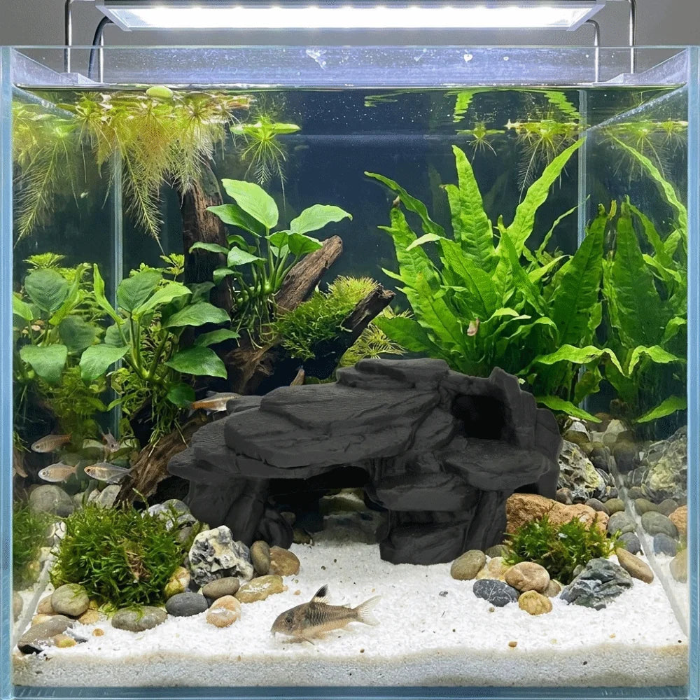 A clear aquarium features a rockery landscape with aquatic plants and a fish resting on the substrate.