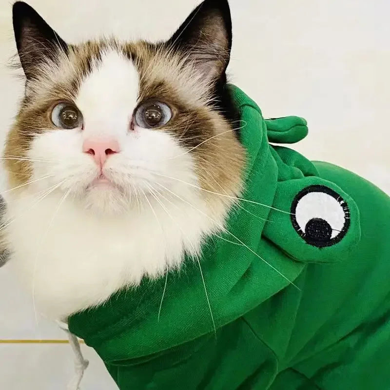 Eine Katze mit einem grünen Frosch-Hoodie und schwarzem Augenabdeckung, die direkt in die Kamera schaut.