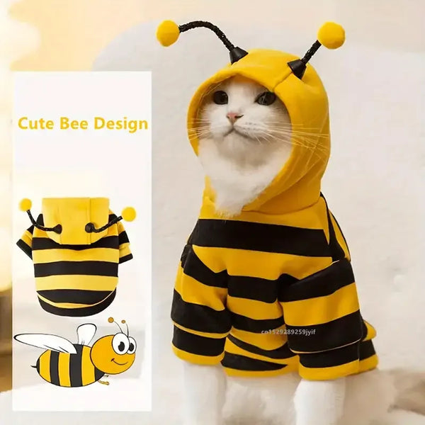 A white cat wearing a yellow and black striped bee-themed hoodie with yellow pom-poms on the ears.
