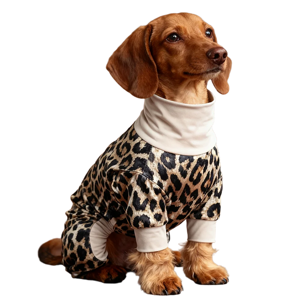 A brown dog wearing leopard print pajamas with a white collar against a black background.