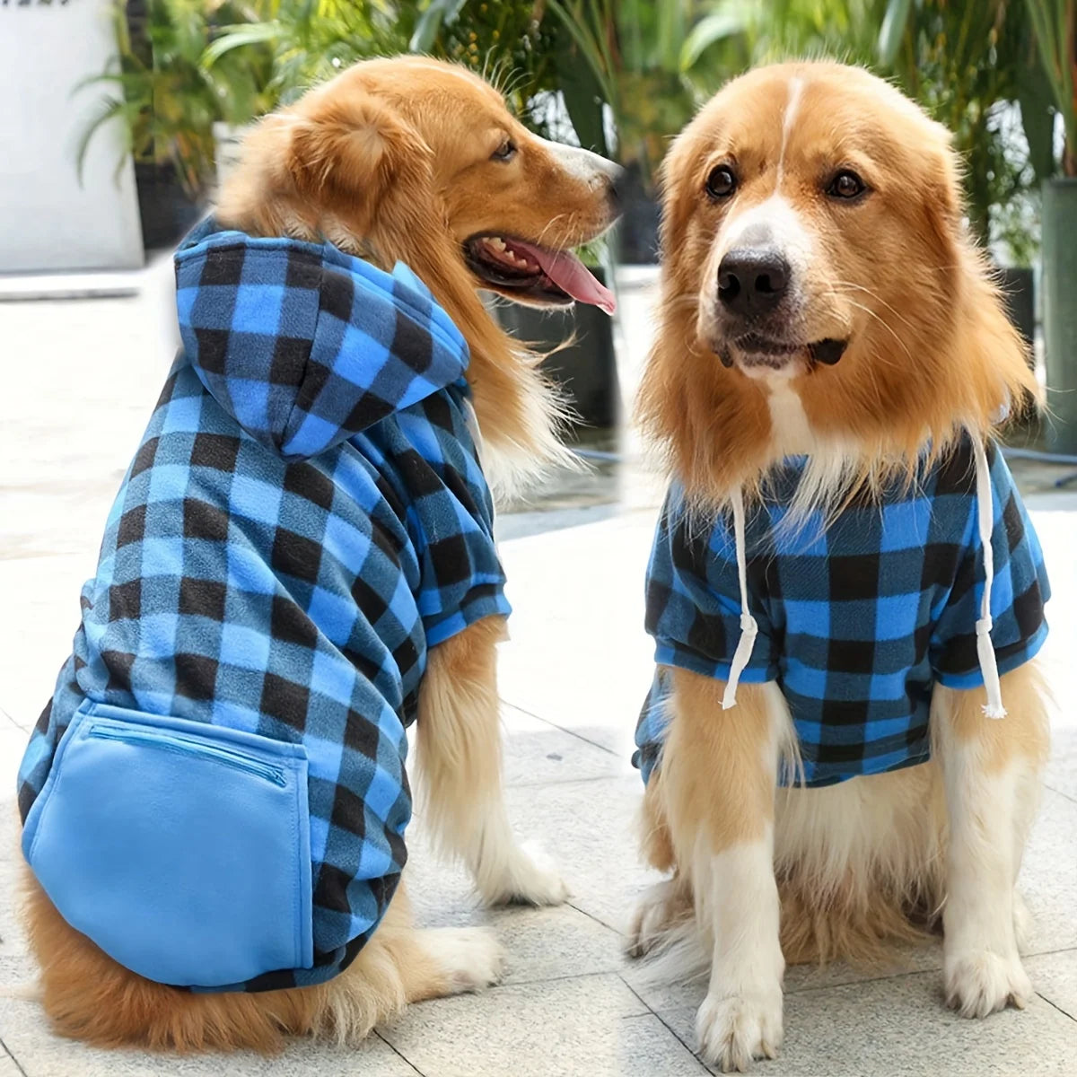 Dos perros golden retriever vistiendo sudaderas con capucha de polar a cuadros azules y negros, sentados al aire libre