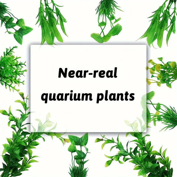 A collection of vibrant green aquarium plants, including water grass and various foliage.