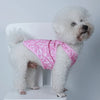 A fluffy white dog wearing a pink heart-patterned vest.