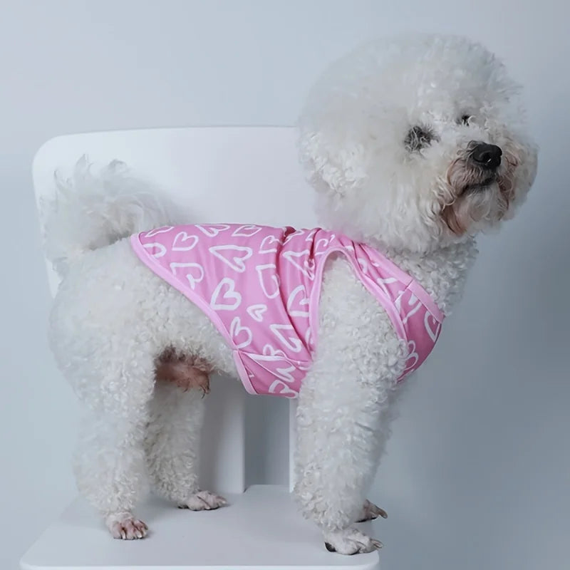 A fluffy white dog wearing a pink heart-patterned vest.