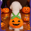 Un perro blanco con disfraz de calabaza naranja tallada y marcas faciales negras, en un fondo de Halloween.