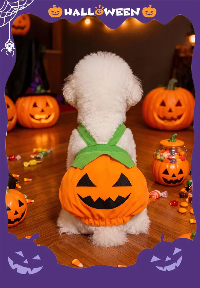 Un perro blanco con disfraz de calabaza naranja tallada y marcas faciales negras, en un fondo de Halloween.