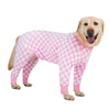 A golden retriever wearing a pink and white checkered jumpsuit.