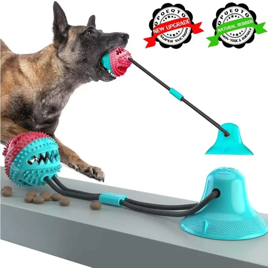 A dog is playing with a pink suction cup chew ball attached to a black string and a blue feeding device.