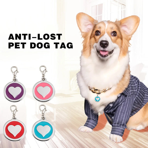 A happy dog wearing a gold collar with a blue tag, next to various metal pet dog tags.