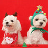 Dos perros blancos vestidos con disfraces navideños: Papá Noel, ciervo y accesorios para cachorro.