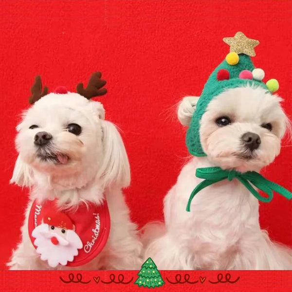 Two white dogs dressed in holiday costumes: Santa, elk, and puppy accessories.