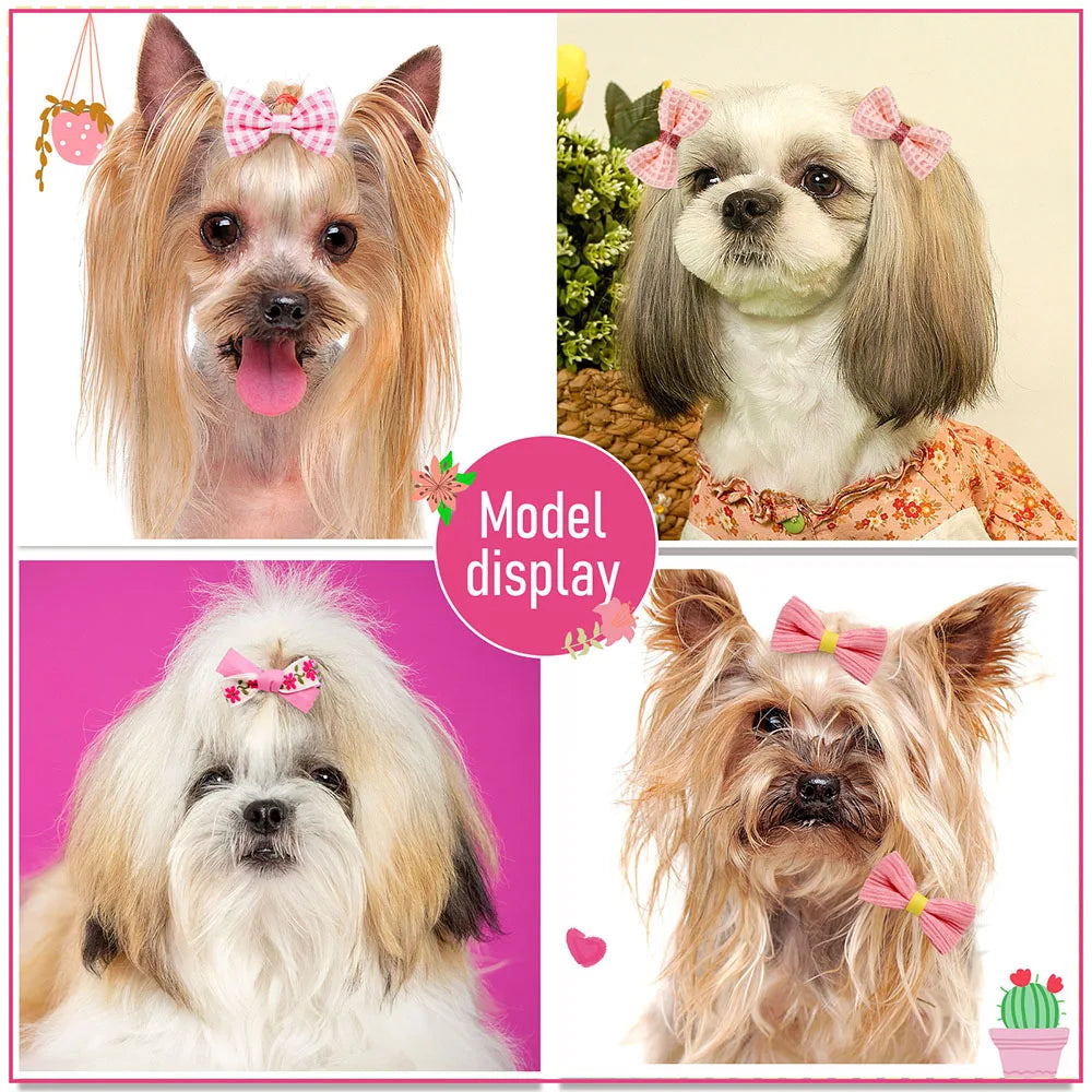 Präsentation verschiedener rosa Hundehairbändel auf Hunden unterschiedlicher Größe.