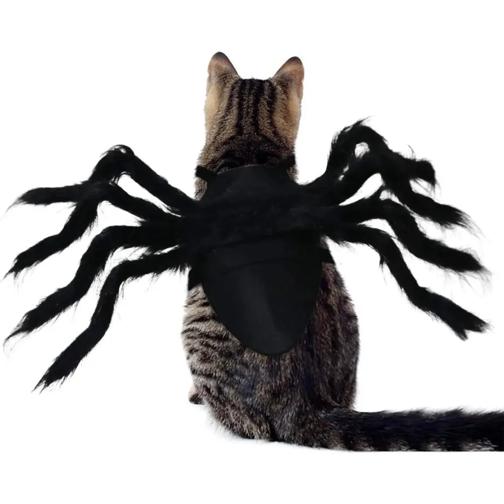 A black Halloween spider costume with long legs is displayed against a white background.