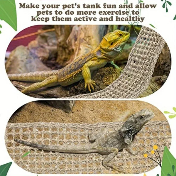 A bearded dragon is resting on a woven hammock in a naturalistic enclosure.