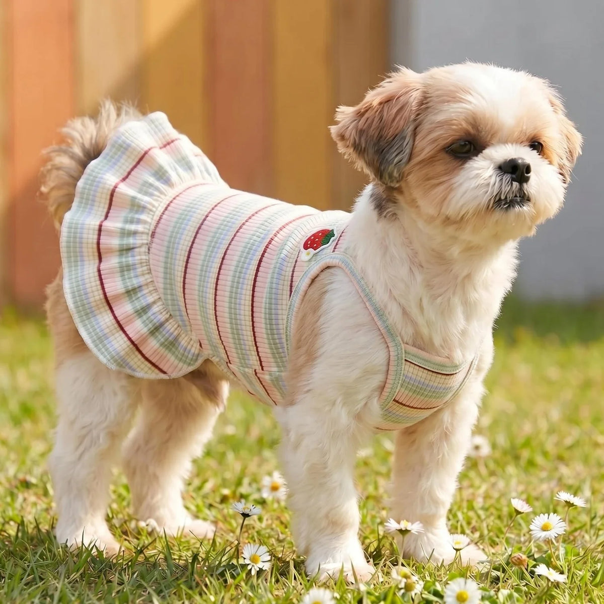 Un perro de color claro vistiendo un vestido de mascota fruncido a rayas rosas y blancas al aire libre.