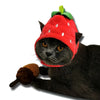 A black cat wearing a red strawberry-shaped hat.