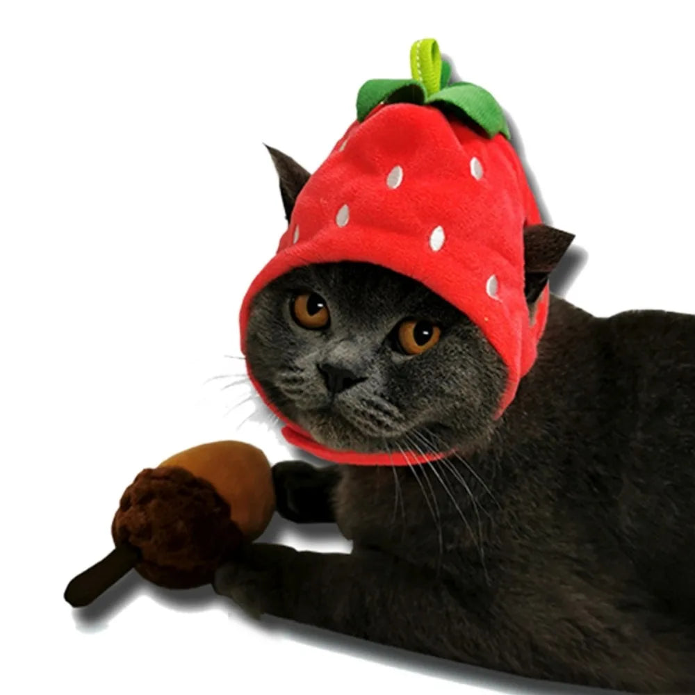 A black cat wearing a red strawberry-shaped hat.