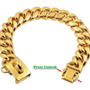 Collier de chien en acier inoxydable doré à mailles cubanes, sur fond blanc.