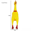 A yellow squeaky rubber chicken dog toy with a red beak and feet.