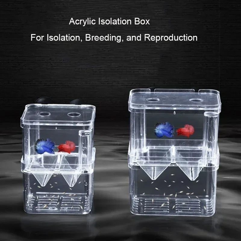 Clear acrylic isolation box for fish breeding and reproduction with internal compartments