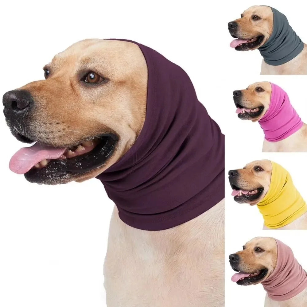 A dog wearing a purple soothing ear muff, with other colors shown, demonstrating the product for sensitive ears.