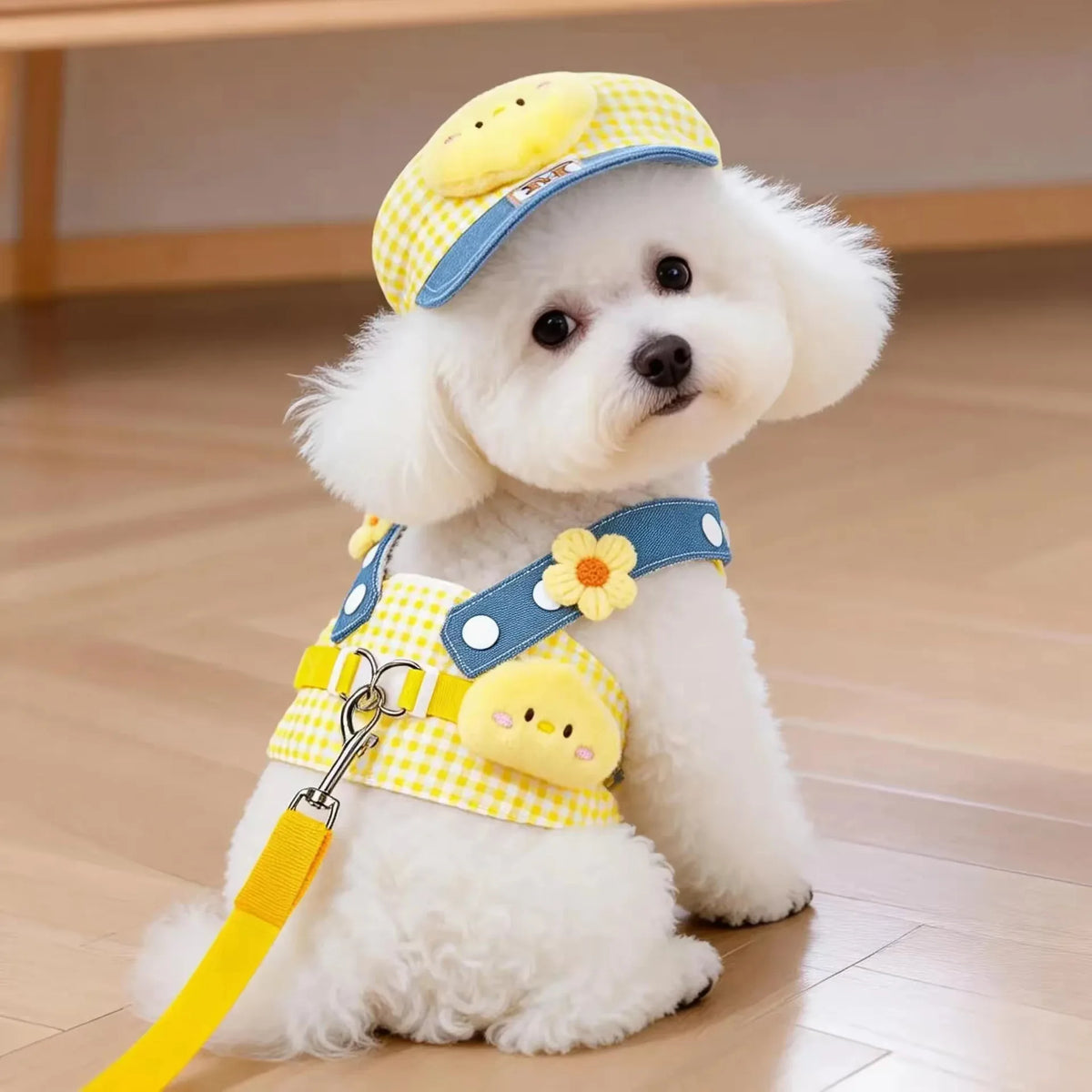 A white poodle wearing a yellow and blue cartoon dog harness vest with a leash.