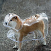 Ein Shiba Inu Hund mit transparentem Regenschirm spaziert auf nasser Pflasterstein.