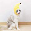 A fluffy white cat wearing a yellow banana cap costume.